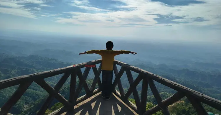 টাইটানিক ভিউ